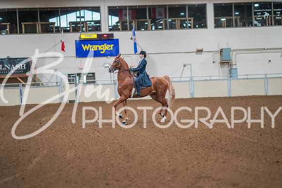 Fall Classic Sept 29, 2024 - 0743