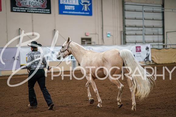 Aurora Show June 8, 2024  - 00440