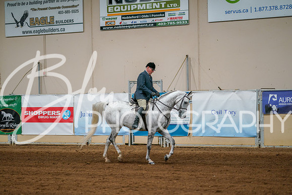 Aurora Show June 8, 2024  - 03384
