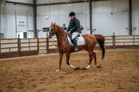 247 Region 17 Arabian Sport Horse Show Hack ATR Championship
