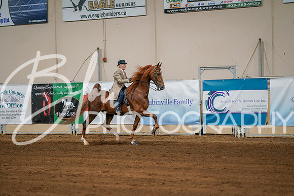 Aurora Show June 8, 2024  - 02963