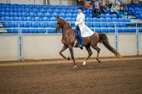 Aurora Show June 8, 2024  - 02268