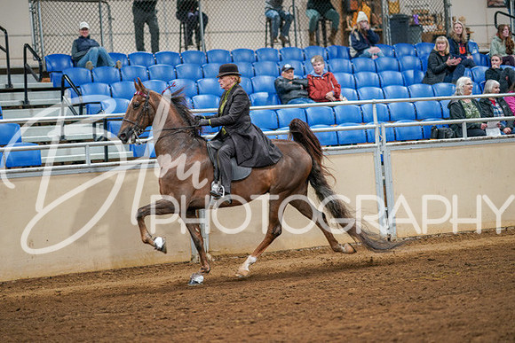 Aurora Show June 8, 2024  - 02853