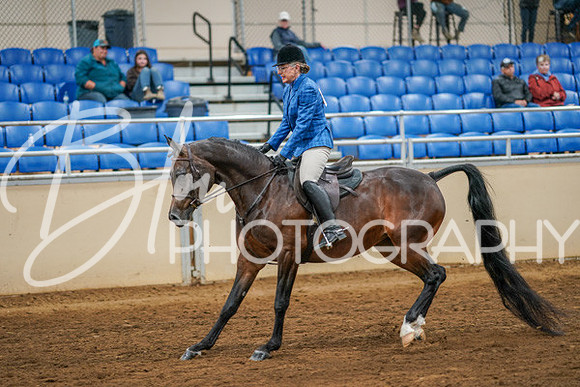 Aurora Show June 8, 2024  - 03356