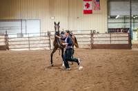267 Region 17 Select Stallion Futurity HA/AA Yearling Colts/Geldings ATH