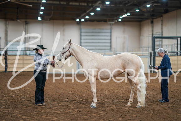 Aurora Show June 8, 2024  - 00431
