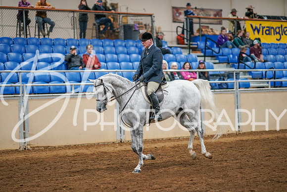 Aurora Show June 8, 2024  - 03365