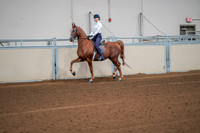 85 - All Breed Schooling Class
