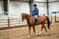 257 Region 17 HA/AA Sport Horse Under Saddle ATR Championship - Hunter Type