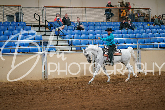 Aurora Show June 6, 2024  - 03791