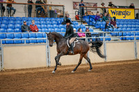 Aurora Show June 8, 2024  - 03359