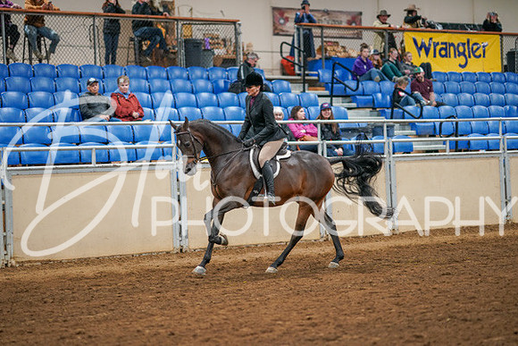 Aurora Show June 8, 2024  - 03359