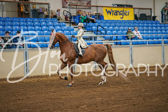Aurora Show June 8, 2024  - 01519