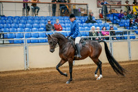 Aurora Show June 8, 2024  - 03355