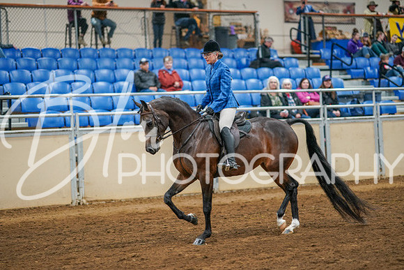 Aurora Show June 8, 2024  - 03355