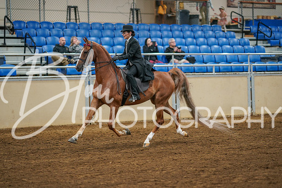 Aurora Show June 8, 2024  - 02546