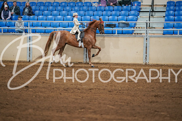 Aurora Show June 8, 2024  - 01599