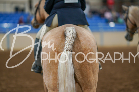 Fall Classic Sept 29, 2024 - 0825