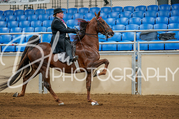 Fall Classic Sept 27, 2024 - 0080