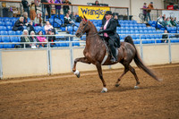 Aurora Show June 8, 2024  - 02804