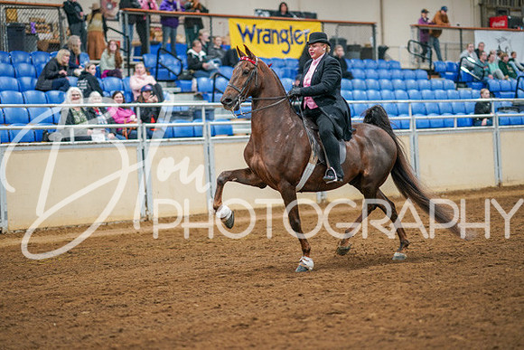 Aurora Show June 8, 2024  - 02804