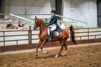 388 Region 17 Arabian English Show Hack Open Championship