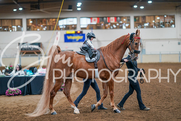 Aurora Show June 8, 2024  - 02407