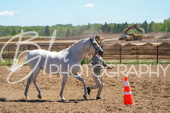 Aurora Show June 6, 2024  - 01587