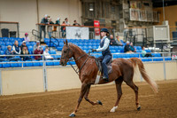 84 - Academy Walk, Trot/Jog Stake