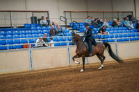 253 HA/AA Country English Pleasure AOTR