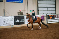 158 - 160 HA/AA Sport Horse Show Hack Open