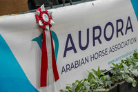 Aurora Show 2025