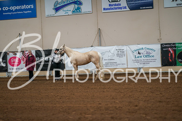 Aurora Show June 8, 2024  - 00406