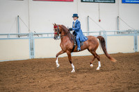 75 - All Breed English Pleasure, Geldings & Stallions