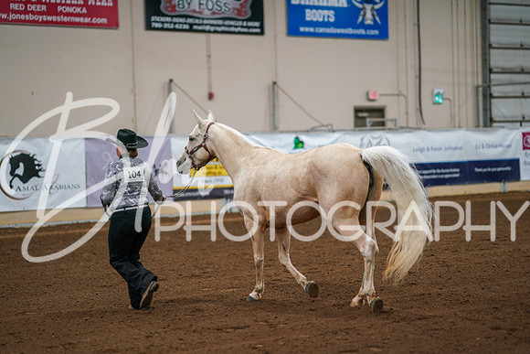Aurora Show June 8, 2024  - 00443