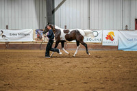 268 Region 17 Select Stallion Futurity HA/AA Yearling Fillies ATH