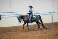73 - All Breed Western Pleasure, Open