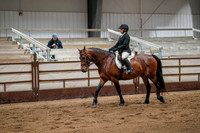254 Region 17 HA/AA Sport Horse Under Saddle Championship - Hunter Type