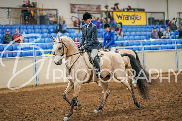 Aurora Show June 8, 2024  - 03431