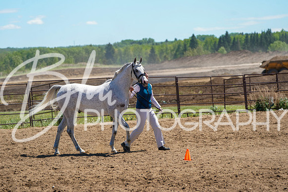 Aurora Show June 6, 2024  - 01507