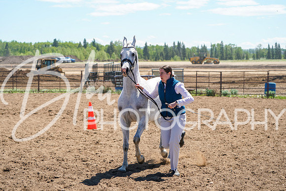 Aurora Show June 6, 2024  - 01533