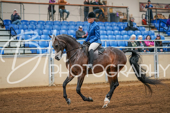 Aurora Show June 8, 2024  - 03372
