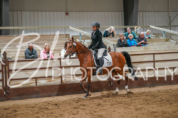 Region 17 July 9, 2025 - 4136