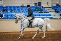 Aurora Show June 8, 2024  - 03370