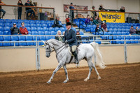 Aurora Show June 8, 2024  - 03364