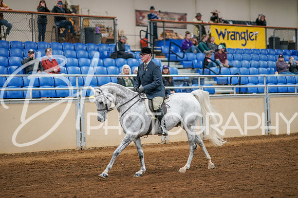 Aurora Show June 8, 2024  - 03364