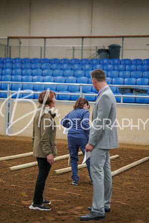 Aurora June 6, 2025 - 2551