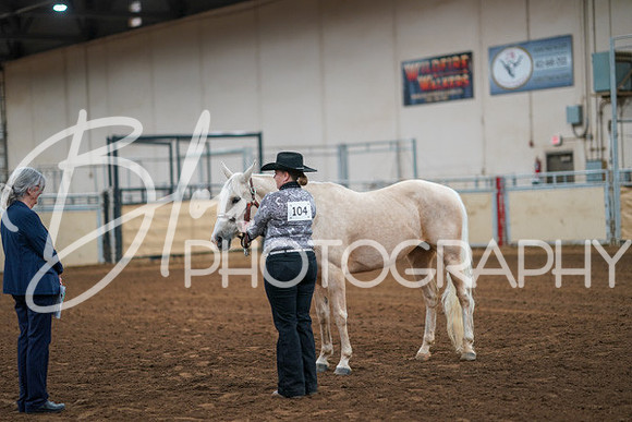 Aurora Show June 8, 2024  - 00422