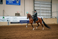 Aurora Show June 6, 2024  - 04746