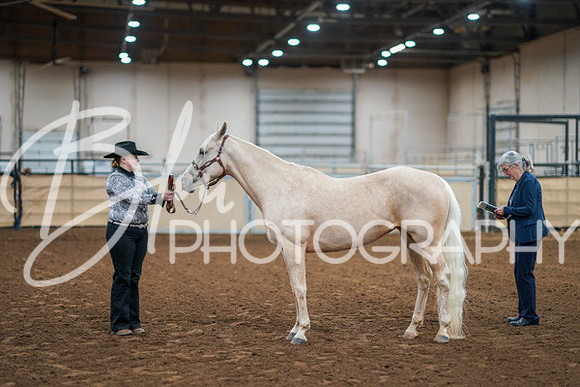 Aurora Show June 8, 2024  - 00432